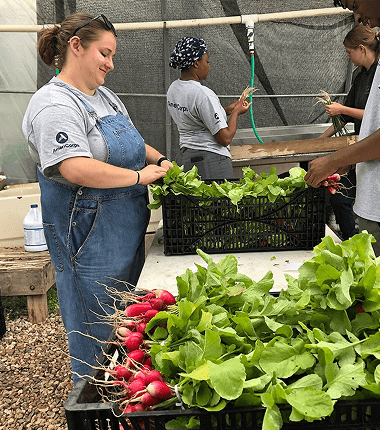 Sustainability is everyone’s job