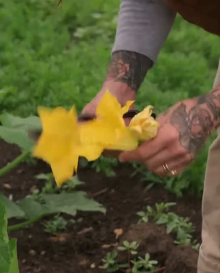 Collaborative food service environment showing partnership and teamwork