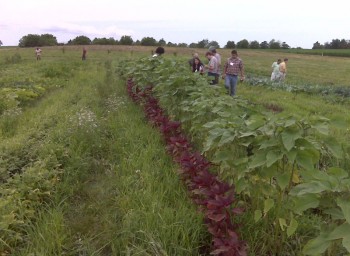 Student Farms: The Next Sustainable Frontier