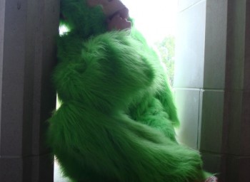 What could be more appropriate for Earth Day than a green gorilla costume?
