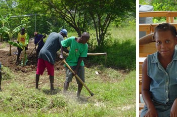 Planting a sustainable future for Haiti: update #3 from David Lachance