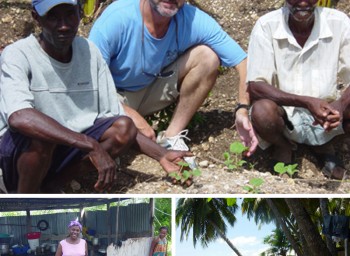Planting a sustainable future for Haiti: update #4 from David Lachance
