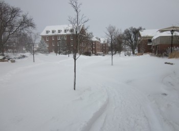 Wheaton Employees Brave Blizzard to Serve Students