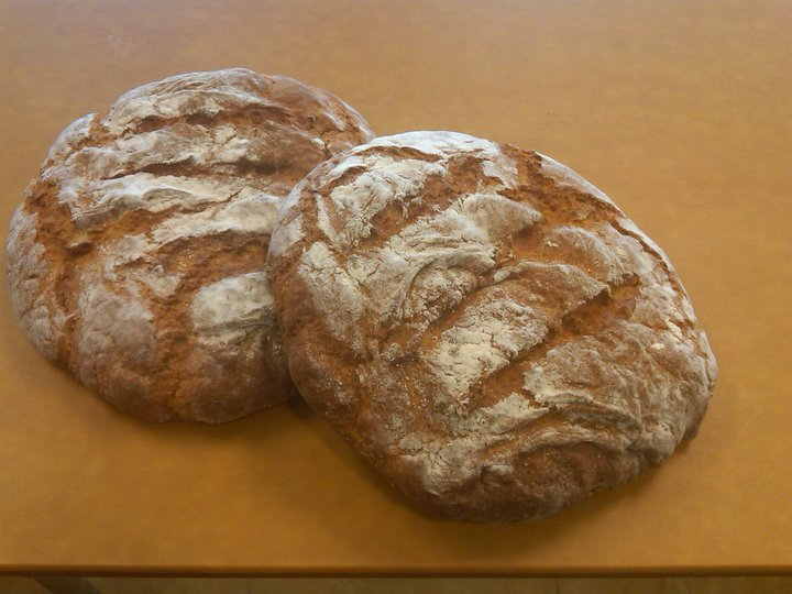 iaia_Navajo_Wild_Sage_Bread