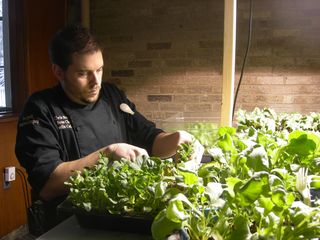 Oberlin College’s Secret Local-Food Weapon