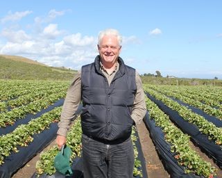Advice for Young Farmers from Swanton Berry Owners