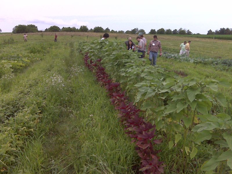 Iowa student farm5