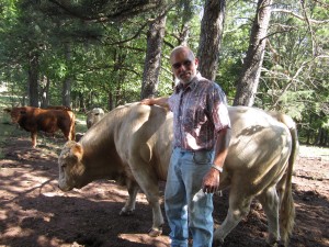 JuJo Acres: The Friendliest Cows Around