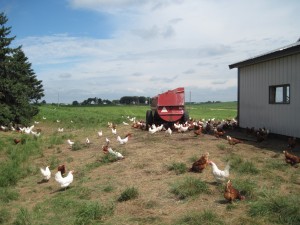 Field Trip: A Visit to Larry Schultz’s Organic Farm