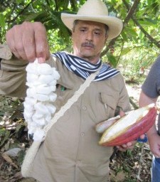 On the Farm with Colombia’s Cordillera Chocolate Growers