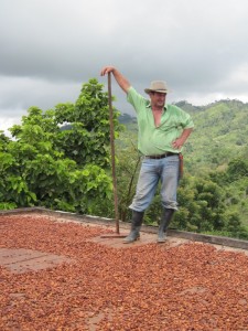 Drying the cacao beans
