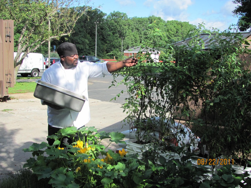 SaintJoesph_UrbanGarden_40