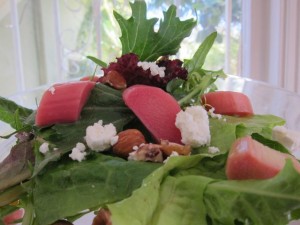 Recipe: Rhubarb, Chèvre, and Toasted Hazelnut Salad