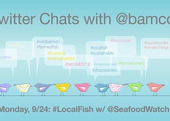 Bon Appétit and Seafood Watch to Host Twitter Chat on #localfish