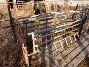 Farrowing Crate