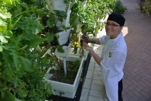 Hydroponic Café Garden Takes Root at Eckerd College