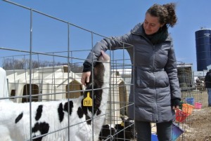 Ronnybrook Farm Dairy: The Old-Fashioned Dairy of the Future?