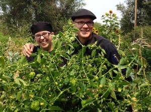 Regis Goes Hyperlocal with Onsite Food Gardens