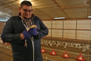 Ty Paup, General Manager for Bon Appetit at Johns Hopkins University, visiting mid-tier Farm to Fork vendor Murray's Chicken.