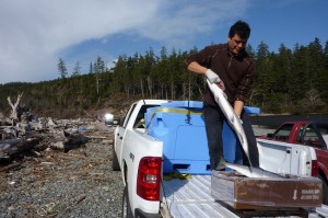 Sonny Davis weighs the fishermen's catch at the water's edge.