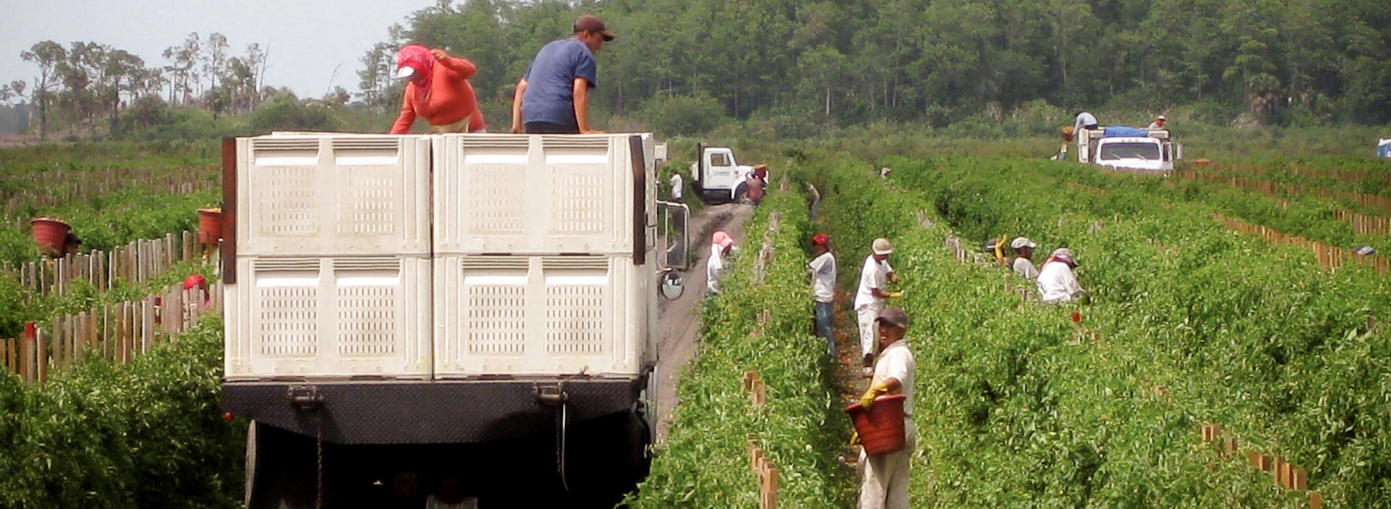 CIW Fair Food Agreement