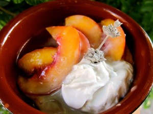 Recipe: Nectarines and Coconut Cream