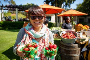 Fresh strawberries at Mills College