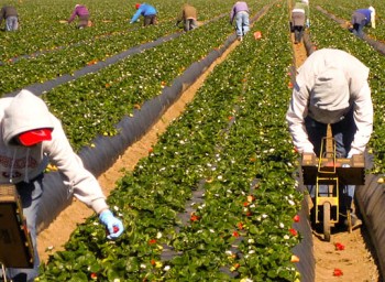 farmworkers_0923_1420x394