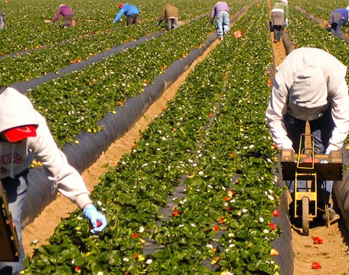 farmworkers_0923_1420x394