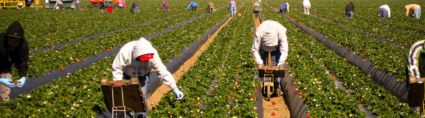 farmworkers_0923_1420x394