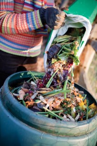 Composting the Kitchen Waste