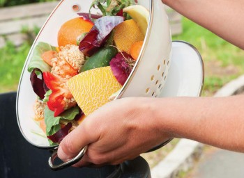 What I’ve Learned About Food Waste as a Bon Appetit Fellow