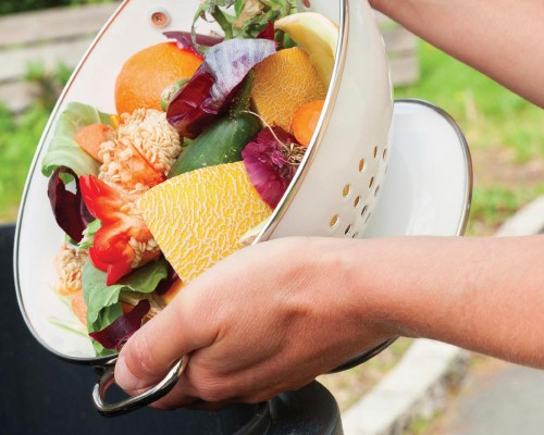 What I’ve Learned About Food Waste as a Bon Appetit Fellow