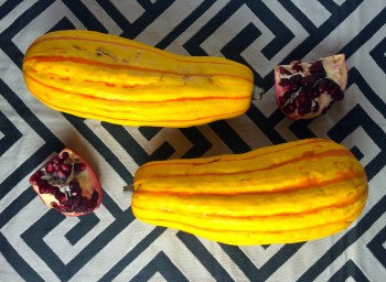 Recipe: Roasted Delicata Squash with Tahini