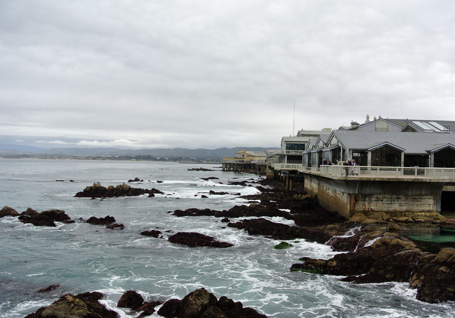 The rocky coastal setting of the Monterey Bay Aquarium