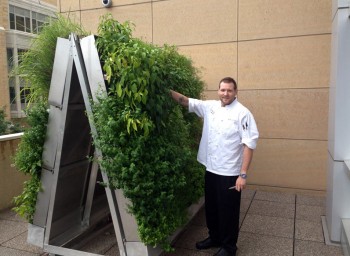 Café’s Herb Wall Targets the Senses