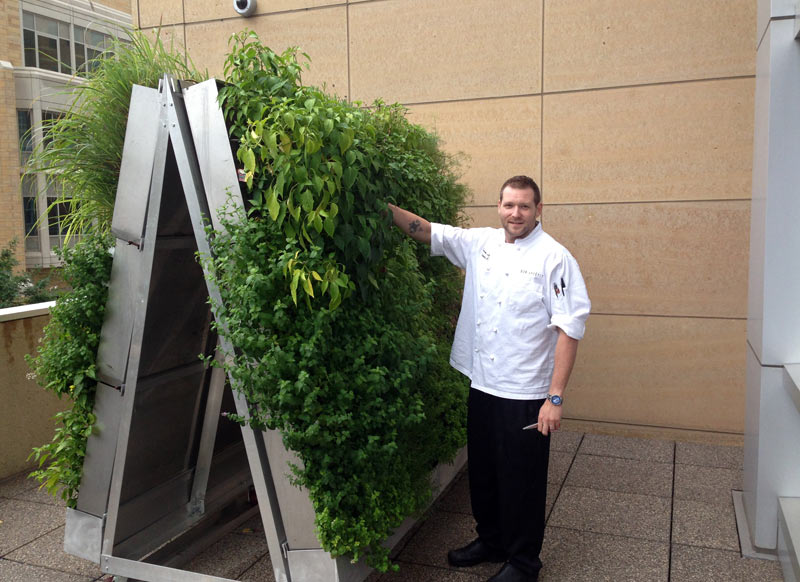 Executive Chef Shaun Holtgreve by the herb wall