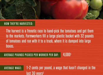 Celebrating Farmworker Awareness Week Companywide, March 24-31