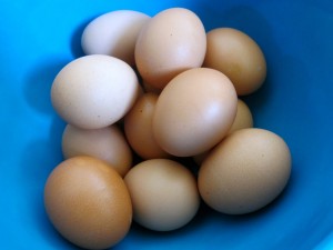 eggs bowl