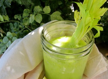 Recipe: Celery Lemonade