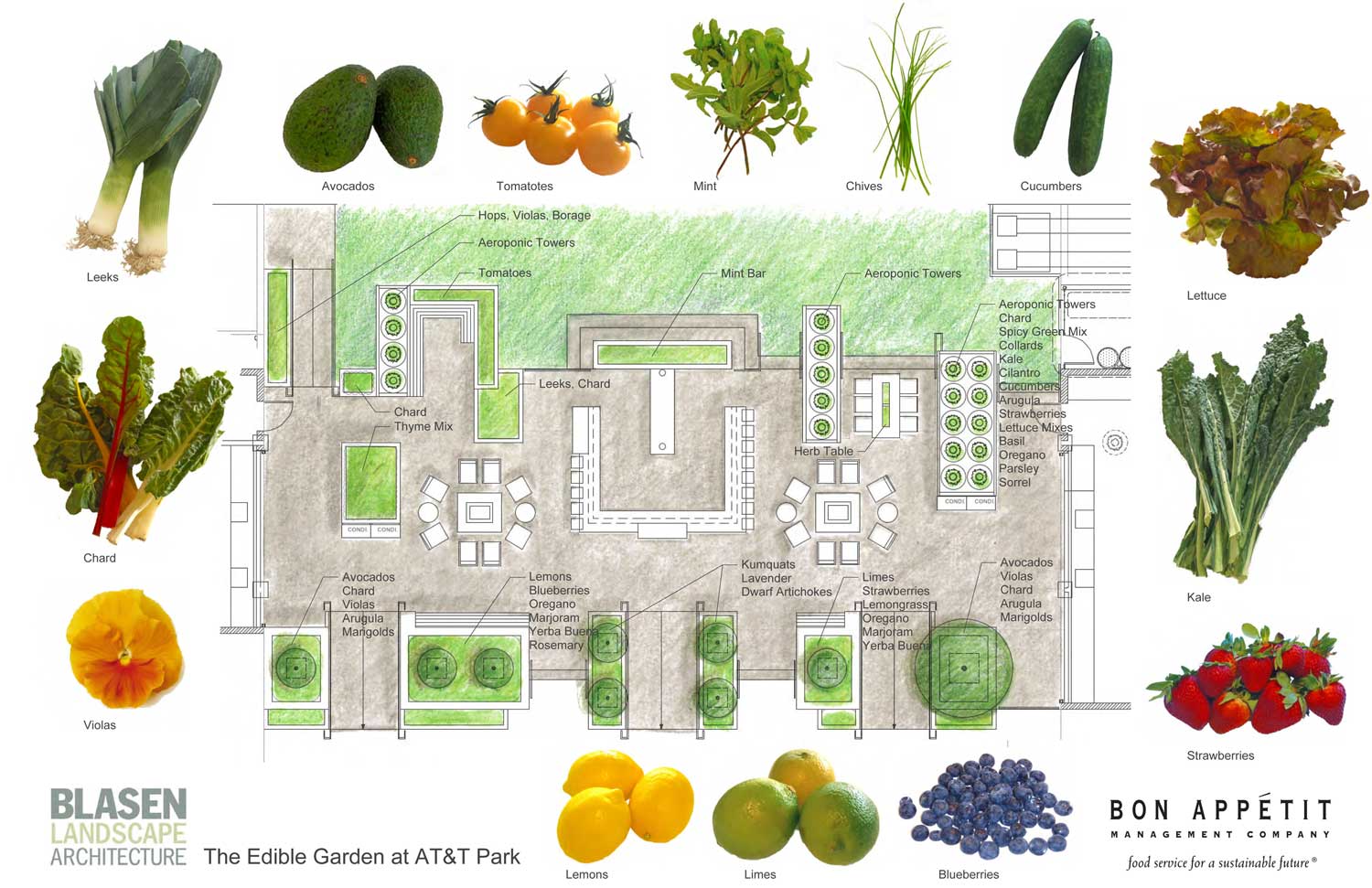 The Garden will offer bountiful summer fruits and vegetables. (Click picture to enlarge.)