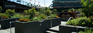 The Garden at AT&T Park