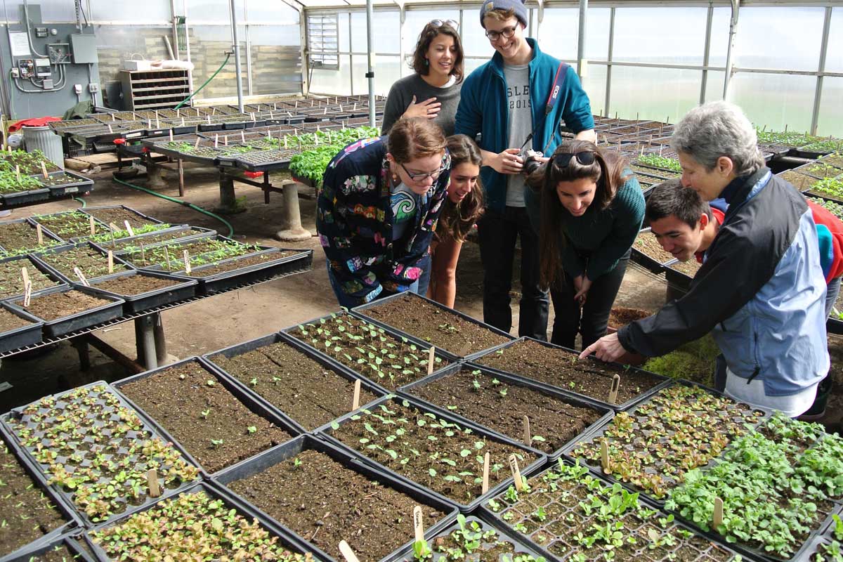 Liz Aaronsohn of Urban Oaks Organic shows Wesleyan students "the beginning of the miracle of life"