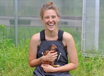 Wesleyan’s Long Lane Farm, July 2014. (Photo by Olivia Drake)