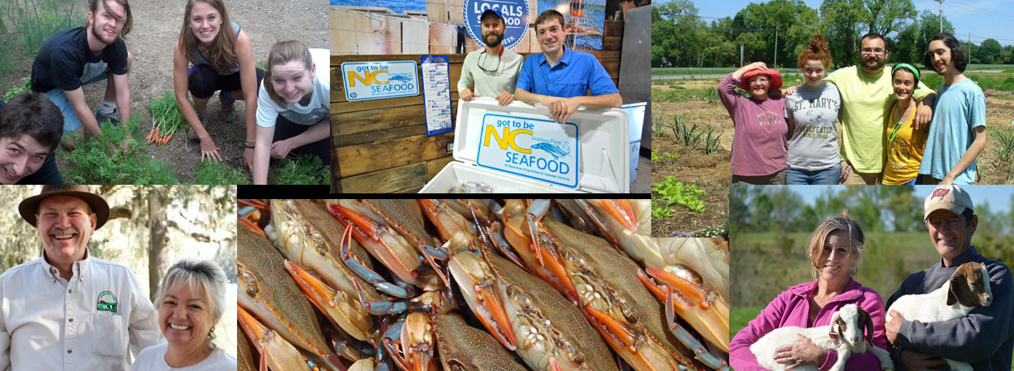 Featured Image: Bon Appétit Fork to Farm Grant Finalists: Southeast Region