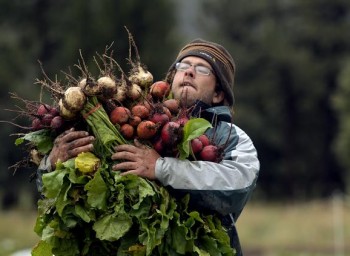 Owner Jason Plotkin carries white, golden and red beets at his Golden Acre Farm, a small organic veggie farm next to North Table Mountain in Golden,