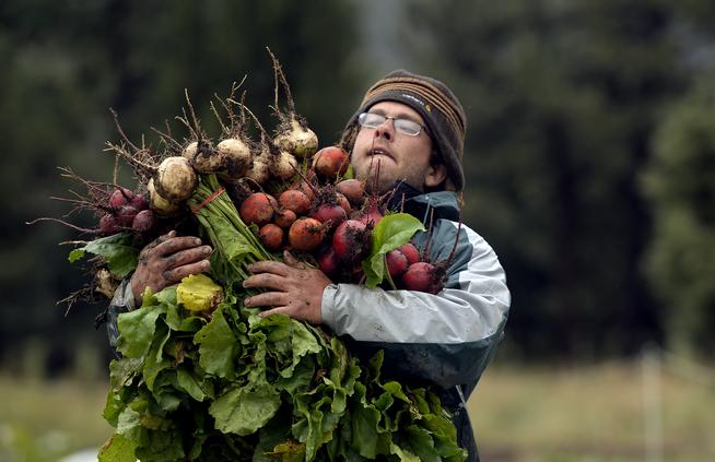 Golden Farmer in the Running for National Grant