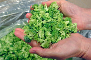 broccoli florets aka fine