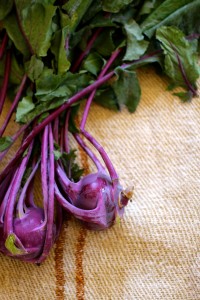 kohlrabi