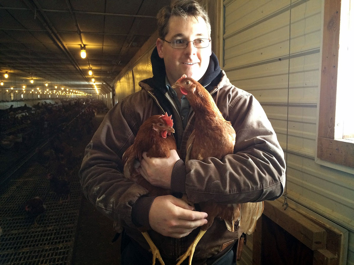 Farmer Larwin Martin shows me how to tell the age of a hen by her comb